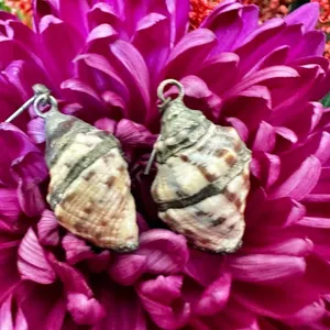 Silver tone shell drop earrings thumbnail 5