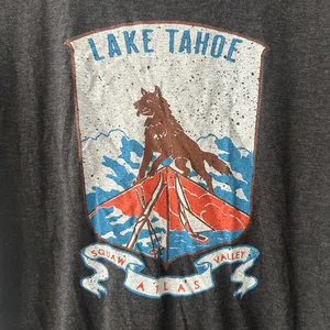 Canvas Lake Tahoe Grey T-Shirt Size M thumbnail 2