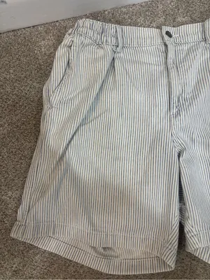 Aerie Blue & White Striped Chambray Casual Shorts Size Large Summer Beachy thumbnail 11