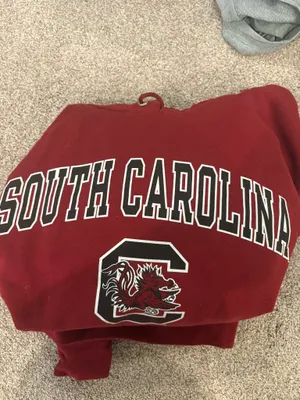 University of South Carolina Champion Hoodie thumbnail 2
