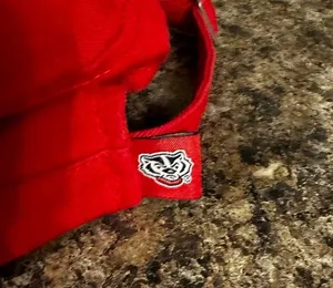 Wisconsin hat thumbnail 4