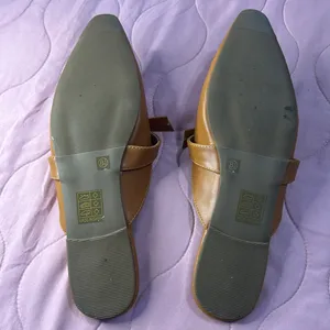 Shoes women . New ,Elegant Brown Mules with Pointed Toe and Low Heel thumbnail 13