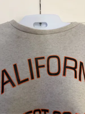 🩷 3/$18 Vintage Style California West Coast Gray Graphic Sweatshirt Pullover M thumbnail 2