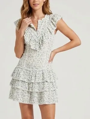 LoveShackFancy Lunetta Floral Eyelet Ruffle Mini Dress White Garden Stream Sz 4 thumbnail 1