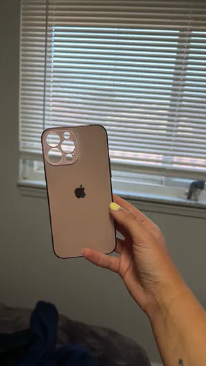 13 pro max case Black thumbnail 2