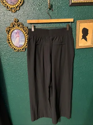 Quince Pull On Black Ankle Pants Sz Small thumbnail 2