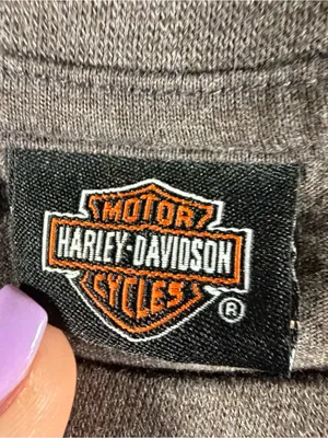 Harley Davidson Space Coast Palm Pay Fl Shiny Iridescent Graphic Tee Gray Large thumbnail 3