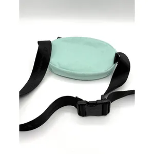 CHAMPION Prime Waist Pack Crossbody Bag Big‎ C Logo Light Mint Green Letterman thumbnail 3