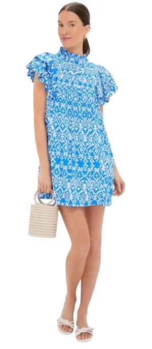 Tuckernuck Hyacinth House Blue White Simmons Ruffle Sleeve High Neck Mini Dress thumbnail 1
