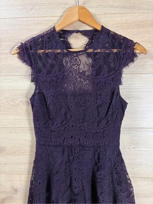 BB Dakota Dark Plum Lace Fit and Flare Mini Dress Size 0 thumbnail 8