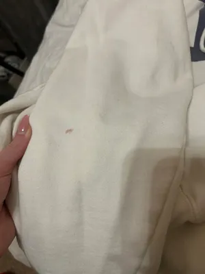 Brandy Melville Hoodie thumbnail 5