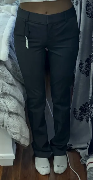 Express Grey Dress Pants thumbnail 1