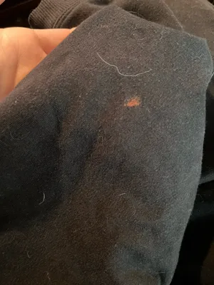 All in Motion black crew neck sweatshirt thumbnail 6