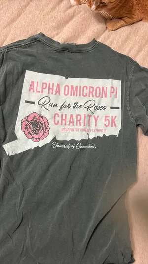 Comfort Colors T-Shirt Sorority thumbnail 1