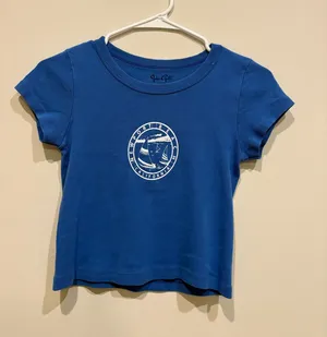 Blue Brandy Melville Baby Tee thumbnail 1
