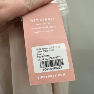 Birdy Grey Gwennie Chiffon Maxi Bridesmaid Dress in Pale Blush Pink Sz S NEW‎ thumbnail 9