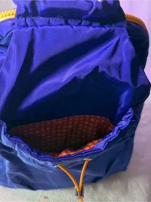 Baggallini Royal Blue Nylon Drawstring Backpack with Yellow Accent thumbnail 14