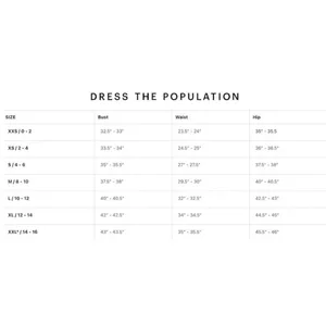 DRESS THE POPULATION Audrey Embroidered Fit & Flare Dress Black/Nude Size Small thumbnail 14
