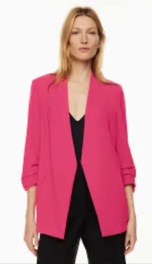 Babaton Aritzia Blazer and Pants thumbnail 1