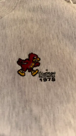 Vintage Iowa State Cyclones Sweatshirt thumbnail 2