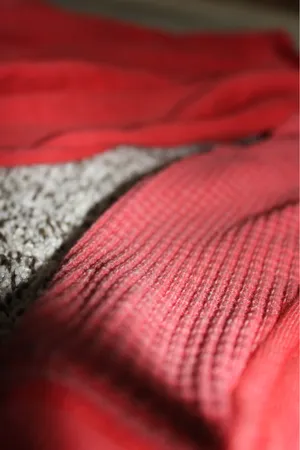 Red Aerie Crewneck Sweatshirt thumbnail 4
