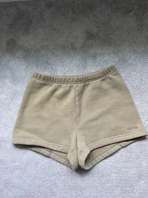 Aritzia Sweatfleece Shorts  thumbnail 4