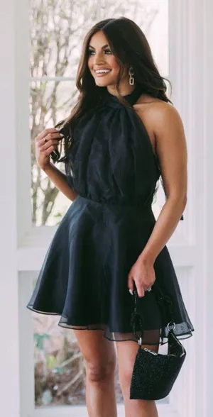 These Three Boutique Halter Neck Organza Dress - Black thumbnail 1