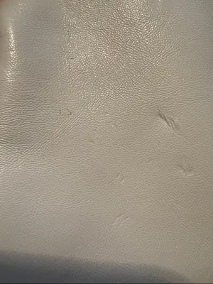 Versace Mini White Faux Leather Cosmetic Case thumbnail 5