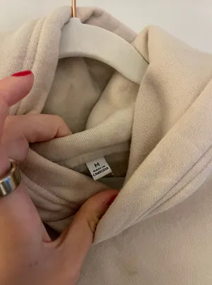Aritzia Cozy Fleece Mega Raglan Hoodie thumbnail 3