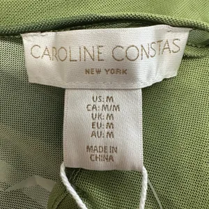 NEW Caroline Constas Sheer Mesh Cover Up Maxi Dress Womens Medium Green Resort thumbnail 5