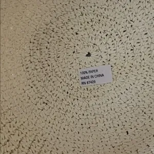 Chic Cream Beaded Crochet Paper Hat thumbnail 3