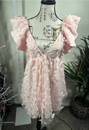 S389. Mabel x Petal & Pup Raelyn Pink Butterfly Appliqué Mini Dress Size Small thumbnail 1