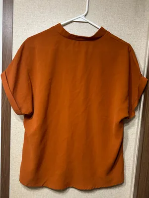 Women's Rust Orange V-Neck Short Sleeve Blouse thumbnail 2