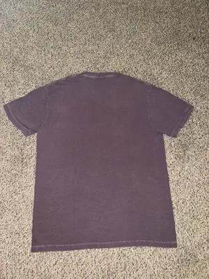 Taylor Swift Tee Comfort Colors thumbnail 2