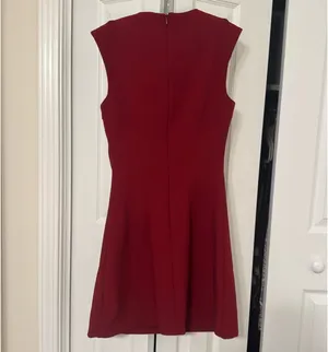Zara Seamed Mini Dress thumbnail 3