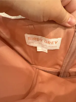 Birdy Grey Winnie Dusty Rose Bridesmaid Dress Medium NWT Strapless Ruffle Maxi thumbnail 4