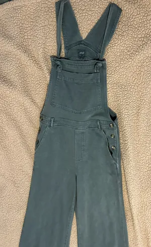 Aerie Women's Overalls in Olive thumbnail 1