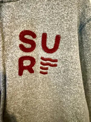Hollister Y2K Zip-Up Surf Hoodie thumbnail 4