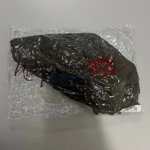 Hapari Tummy Tuk High Waisted Bikini Bottoms Brown UPF 50+ Large thumbnail 7