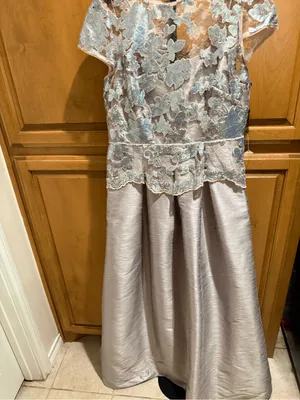 Adrianna Papell mother of the bride or groom gown dress Size 12 NWT $240 thumbnail 3