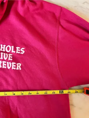 Assh**es Live Forever Pink Zip Hoodie Women’s XL Graphic Logo Oversized thumbnail 5