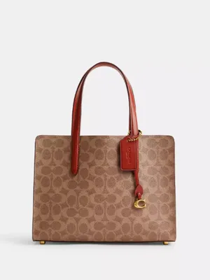 Coach Carter Carryall Bag 28 in Signature Canvas thumbnail 9