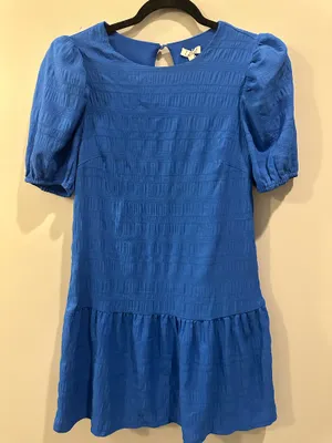 TCEC Balloon Sleeve Textured Dress thumbnail 2