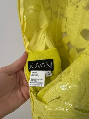 Jovani Prom Dress thumbnail 3