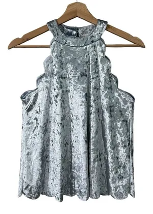 Altard State Sleeveless Blouse Size M Ice Powder Blue Metallic Velvet Scalloped thumbnail 1