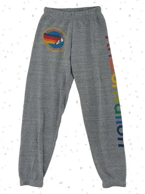 Aviator Nation Gray Rainbow Spellout Logo Sweatpants Casual Lounge Sweat Size XS thumbnail 1