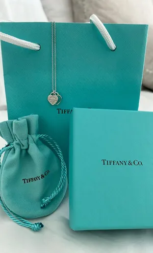 Tiffany & Co. Necklace thumbnail 2