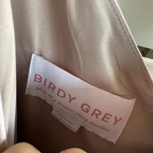 Birdy Grey Satin Taupe Jay Maxi Dress Medium thumbnail 6