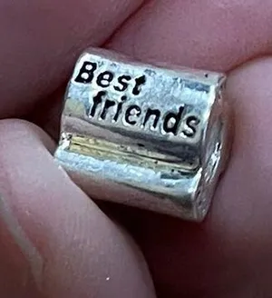 925 Best Friends Charm Bracelet Fit Pandora New Silver thumbnail 1