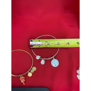 Alex and Ani Bangle Bracelet Lot 6pc‎ Nautical Lobster Fish Anchor Gold Silver thumbnail 12